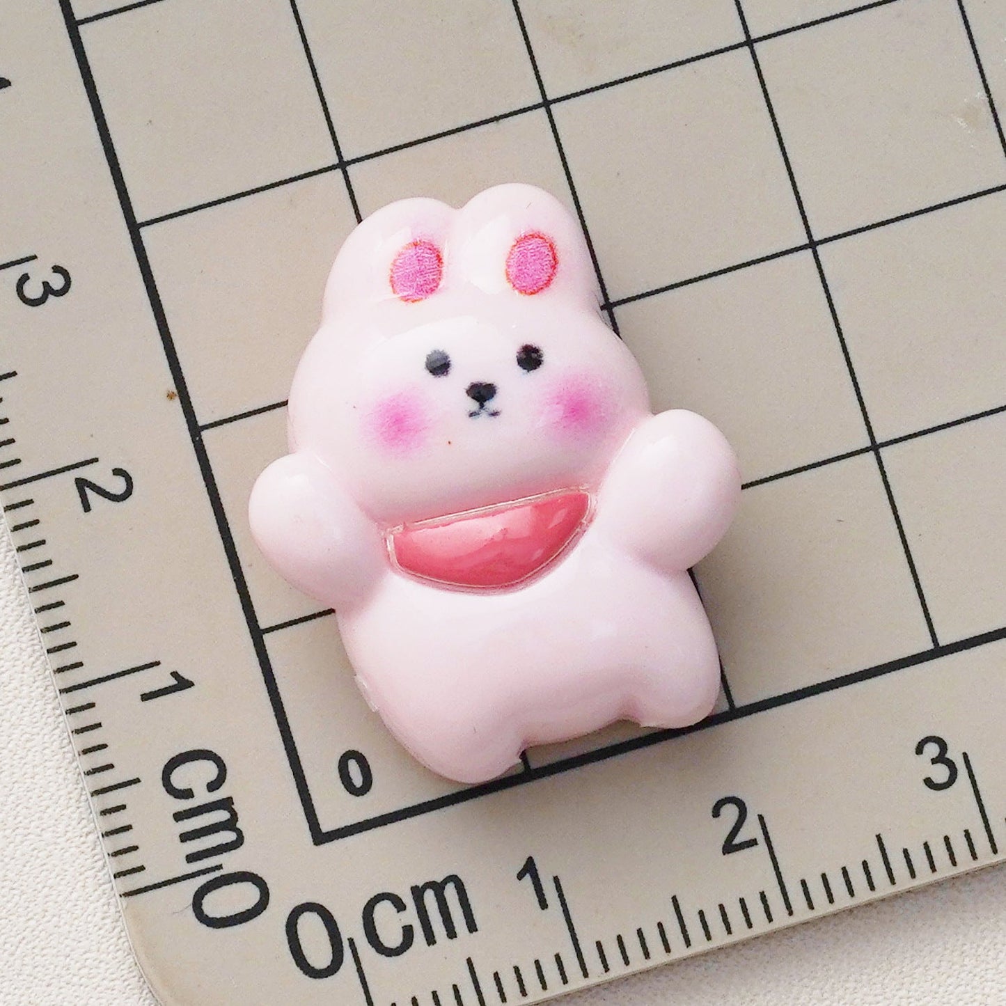 10 PCS Cartoon Resin Charms