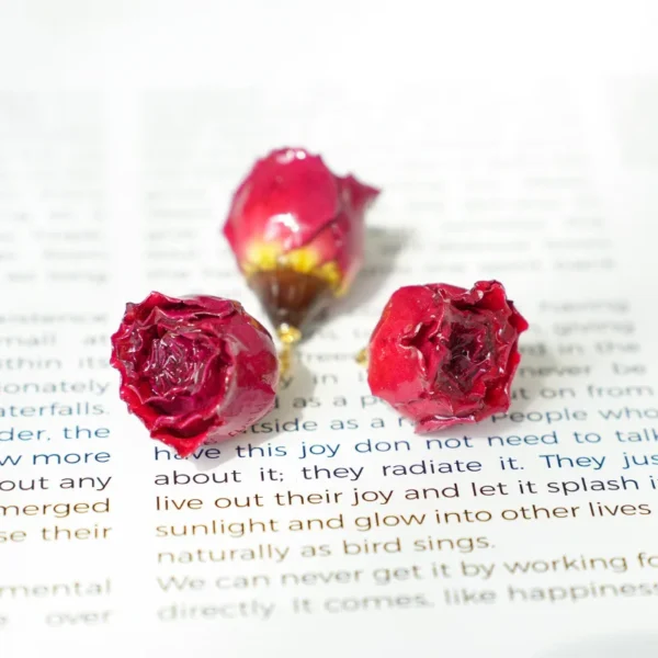 Original Handmade Super Fairy Forest Series Real Dried Flower Semi-finished Earring Accessories Rose Rose Diy Drip Glue